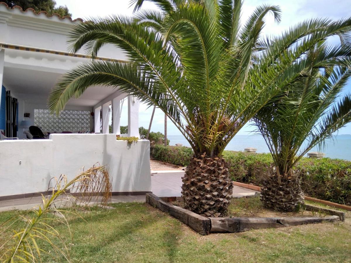Sargantana Blava Villa Sant Carlos de la Ràpita Eksteriør billede
