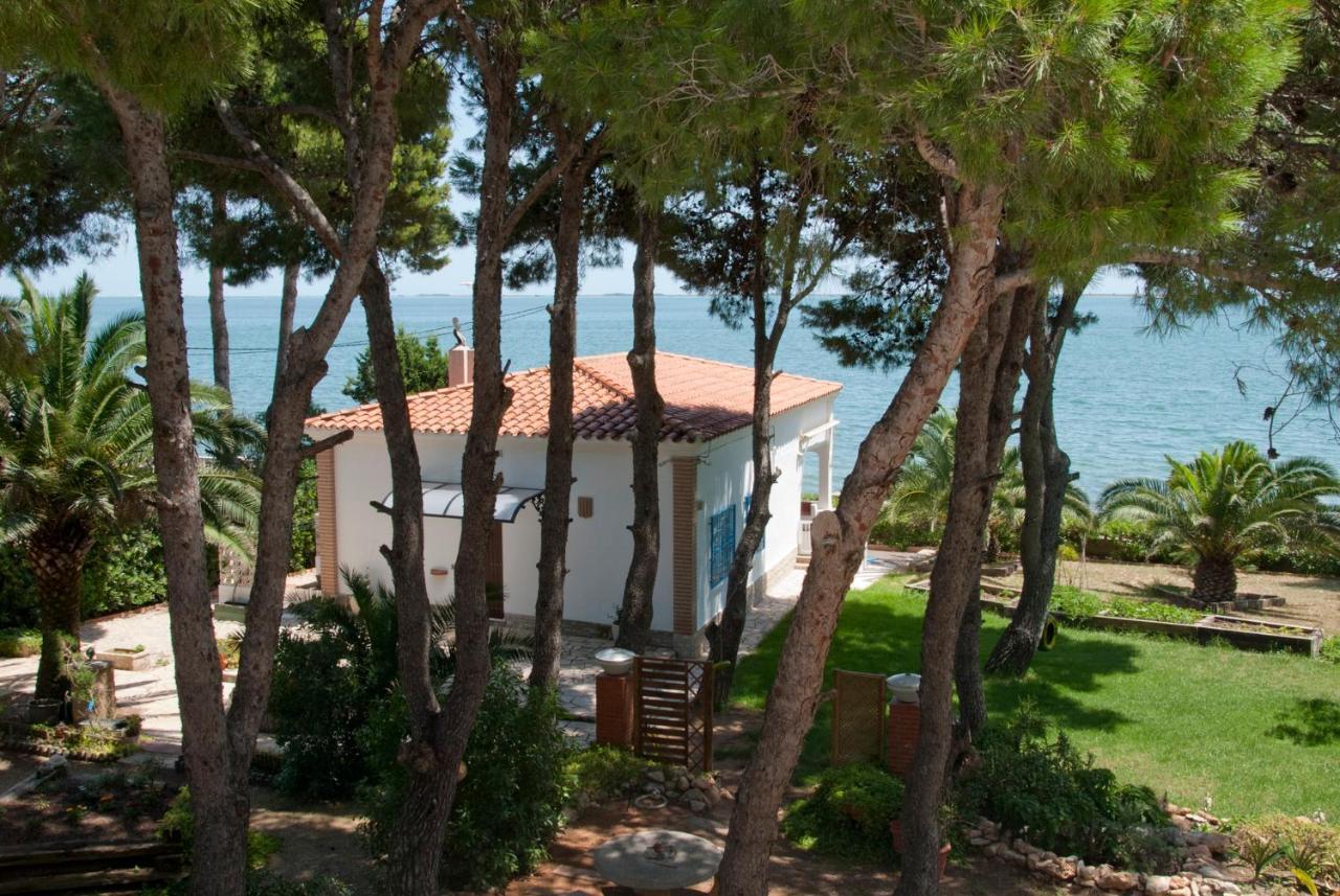 Sargantana Blava Villa Sant Carlos de la Ràpita Eksteriør billede